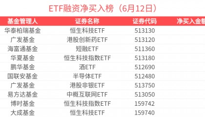 ETF融资榜 | 港股通金融ETF(513190)杠杆资金加速流入，港股相关ETF受杠杆资金关注-20250612