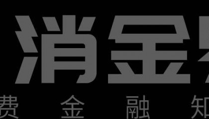 北银消费金融2024年业绩出炉