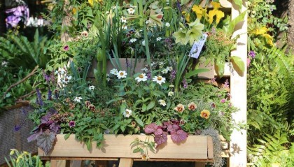 园艺技术专业就业前景和就业方向