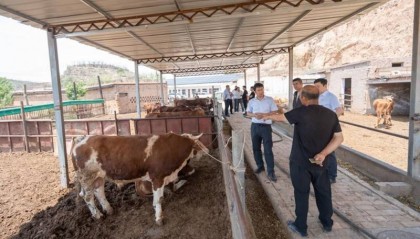 “金融暖乡·与爱同行”关爱留守群体志愿行动在榆林佳县举行