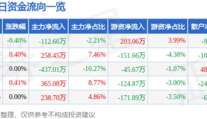 股票行情快报：康欣新材（600076）8月13日主力资金净卖出112.66万元