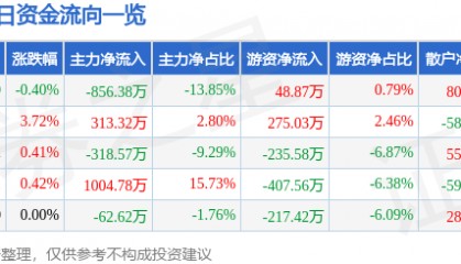 股票行情快报：康欣新材（600076）7月9日主力资金净卖出856.38万元