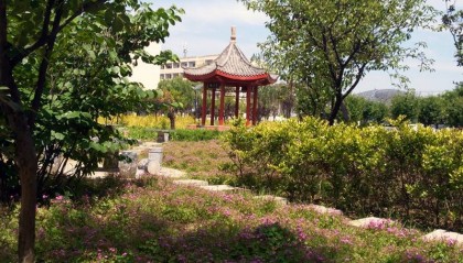 中央电大中专招生简章（发布）