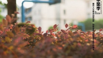 吉林电大中专招生简章（消息）