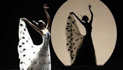 女生本科学什么专业好就业？