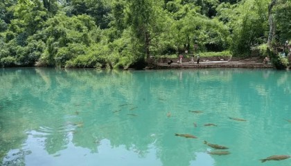 工行贵州都匀分行：金融助力荔波打造世界级旅游景区