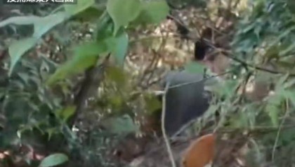 湖南一男子发疯行凶致3死1伤，研究生制止被刺身亡