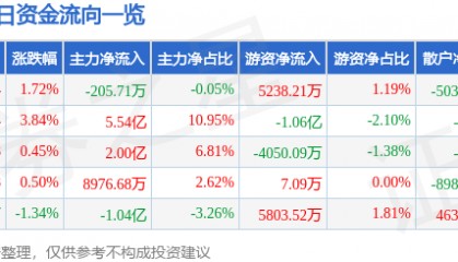 股票行情快报：兴森科技（002436）9月19日主力资金净卖出205.71万元