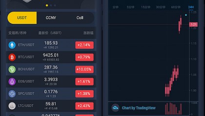 市场虚拟币(虚拟币市场规模)