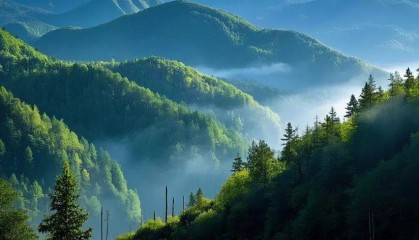 2025年第一季度养老金融产品市场数据