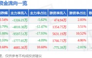 股票行情快报：浙大网新（600797）3月24日主力资金净卖出1316.21万元