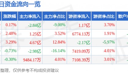 股票行情快报：兴森科技（002436）8月25日主力资金净卖出2.84亿元