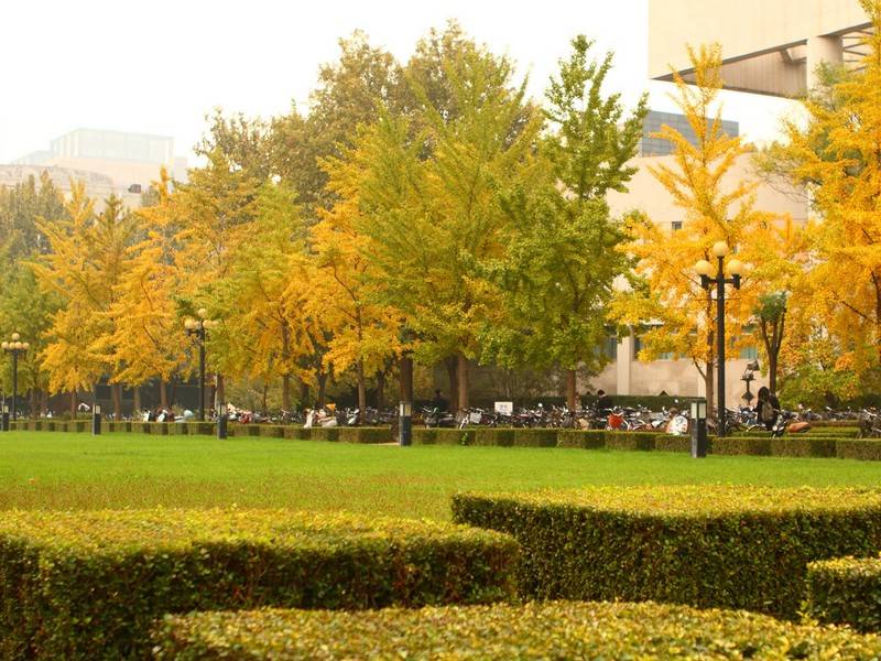 国家开放大学中专招生简章（发布）