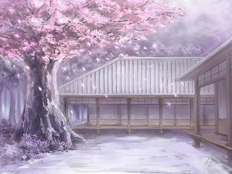 成人中专招生简章（消息）