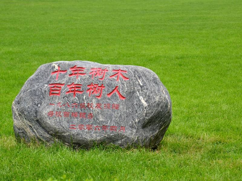 长春市电大中专招生简章（消息）