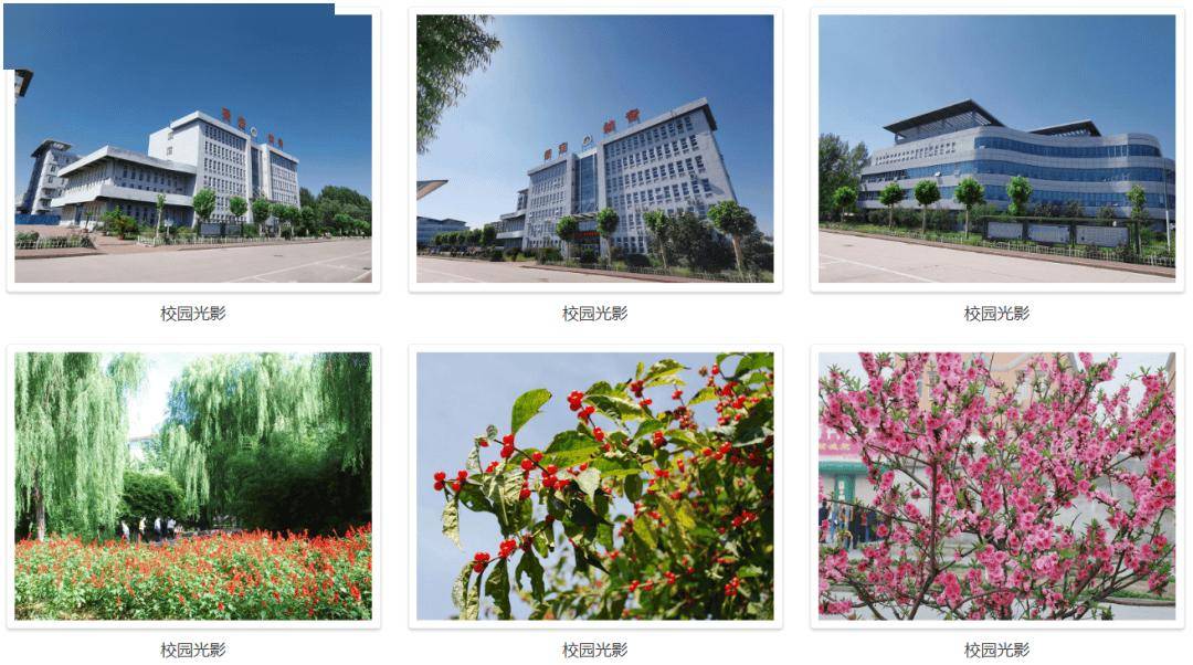 院校解读丨保定幼儿师范高等专科学校，2026河北单招参考！
