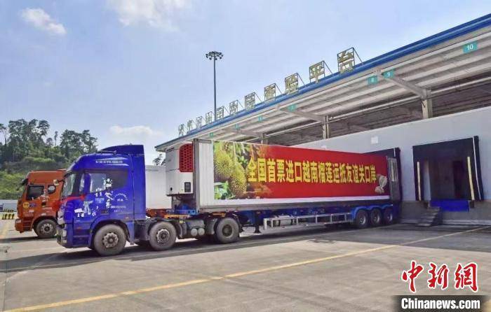 广西自贸试验区探索智慧查验新模式 便利东盟水果进境通关