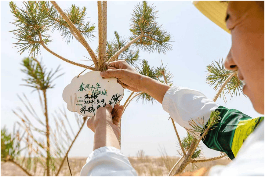 从一场球赛，看绿城中国的长期主义坚持！