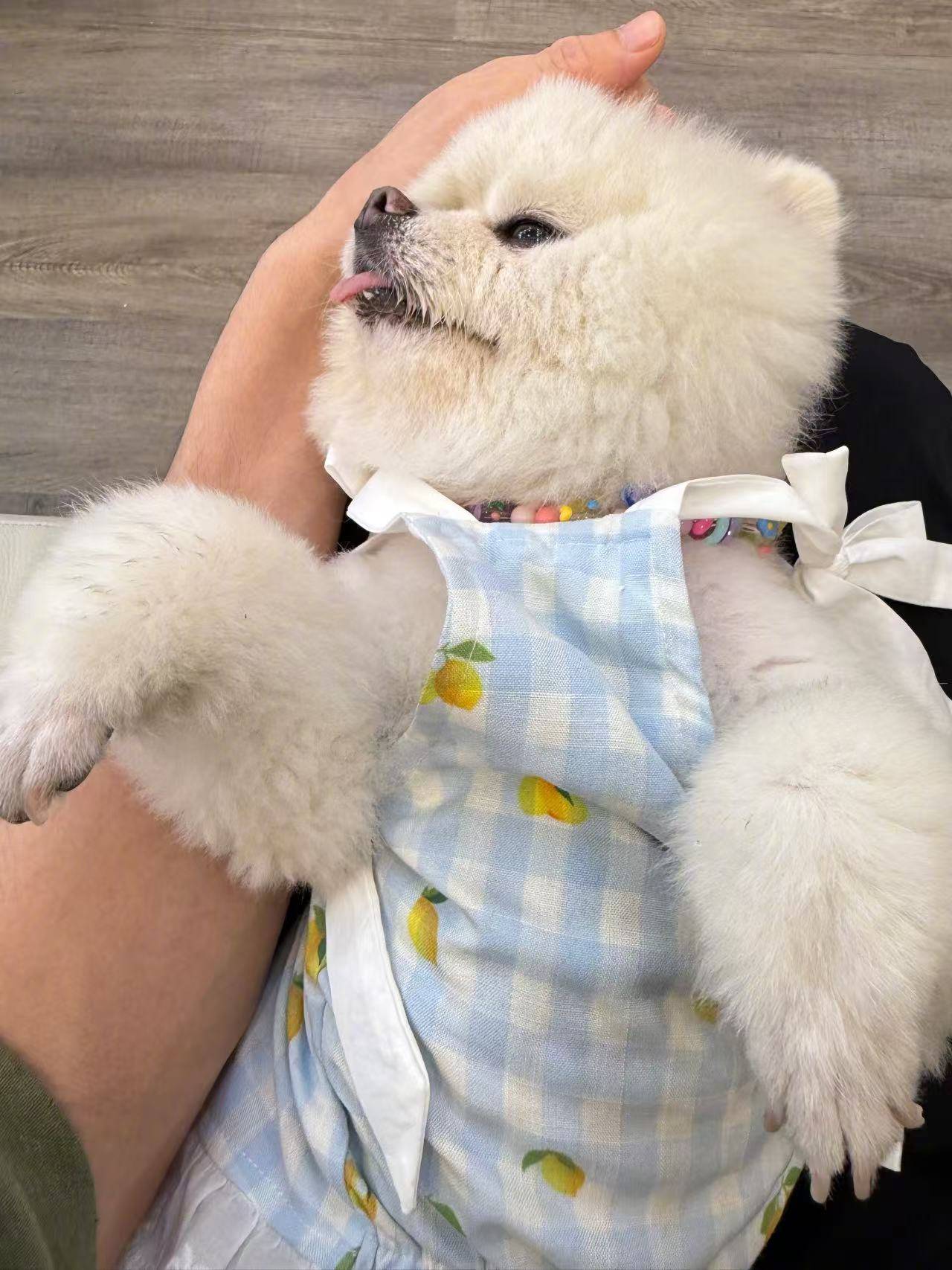 无痛人流当天去医院当天就可以做吗