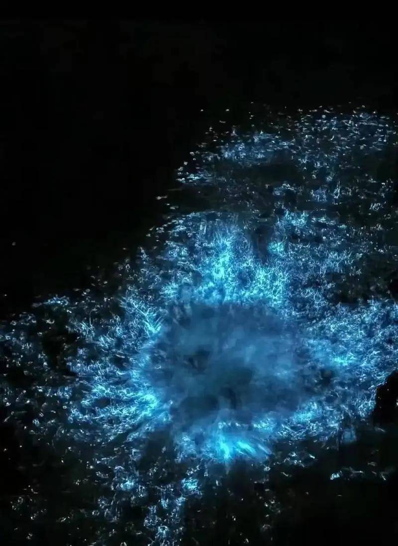 平潭蓝眼泪最佳观赏时间是什么时候？