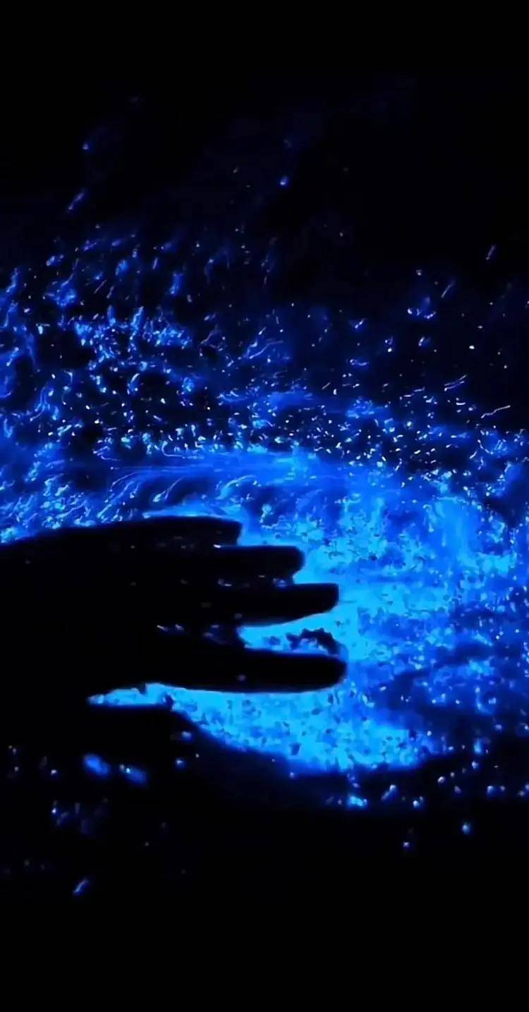 平潭蓝眼泪最佳观赏时间是什么时候？