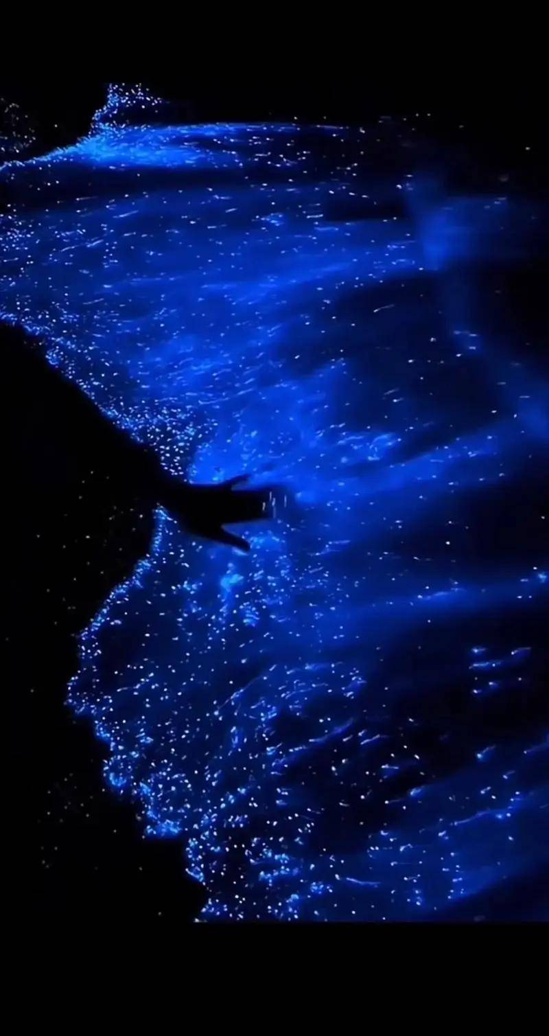 平潭蓝眼泪最佳观赏时间是什么时候？