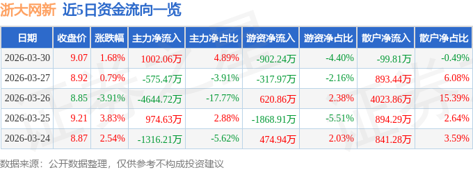 股票行情快报:浙大网新(600797)3月30日主力资金净买入1002.06万元