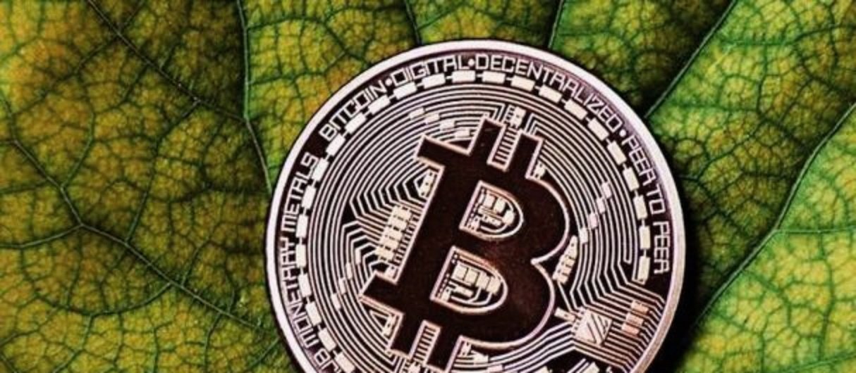 大饼虚拟币(dac虚拟币)