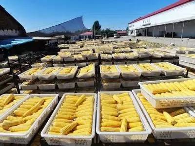 松原虚拟币(虚拟币 合法)