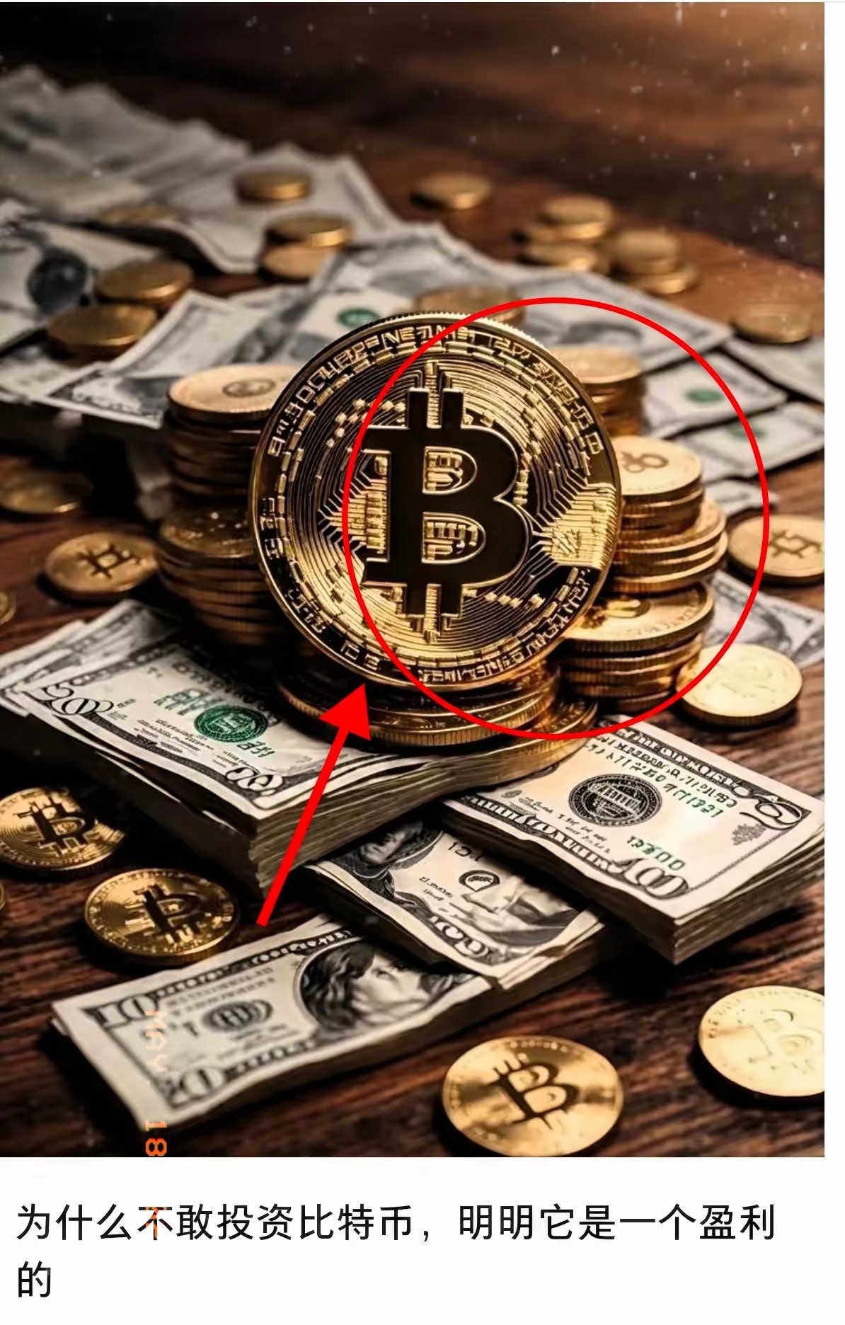 不就虚拟币(不就虚拟币充值是什么?)